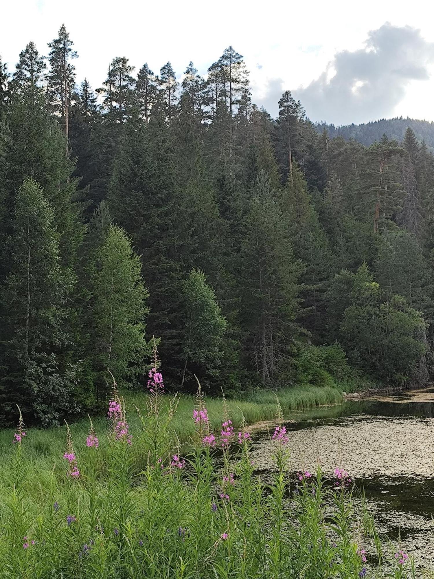 Nikolija Villa Zabljak  Luaran gambar